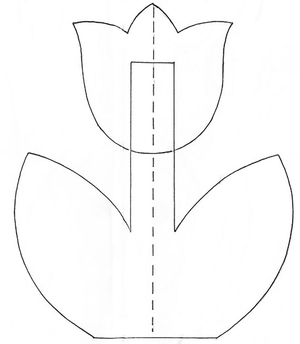 Тюльпан раскраска для малышей
