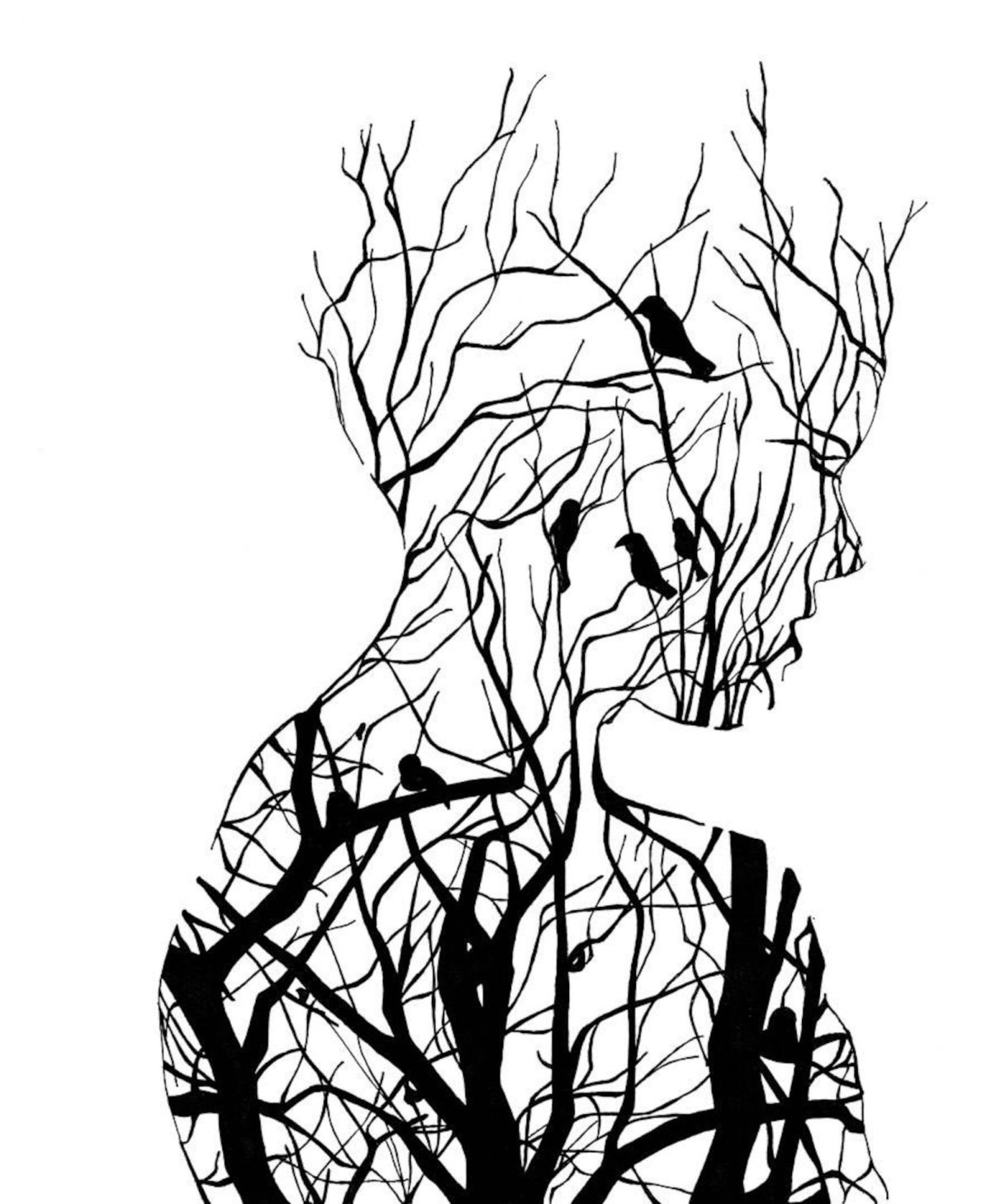 Эскиз одной линией