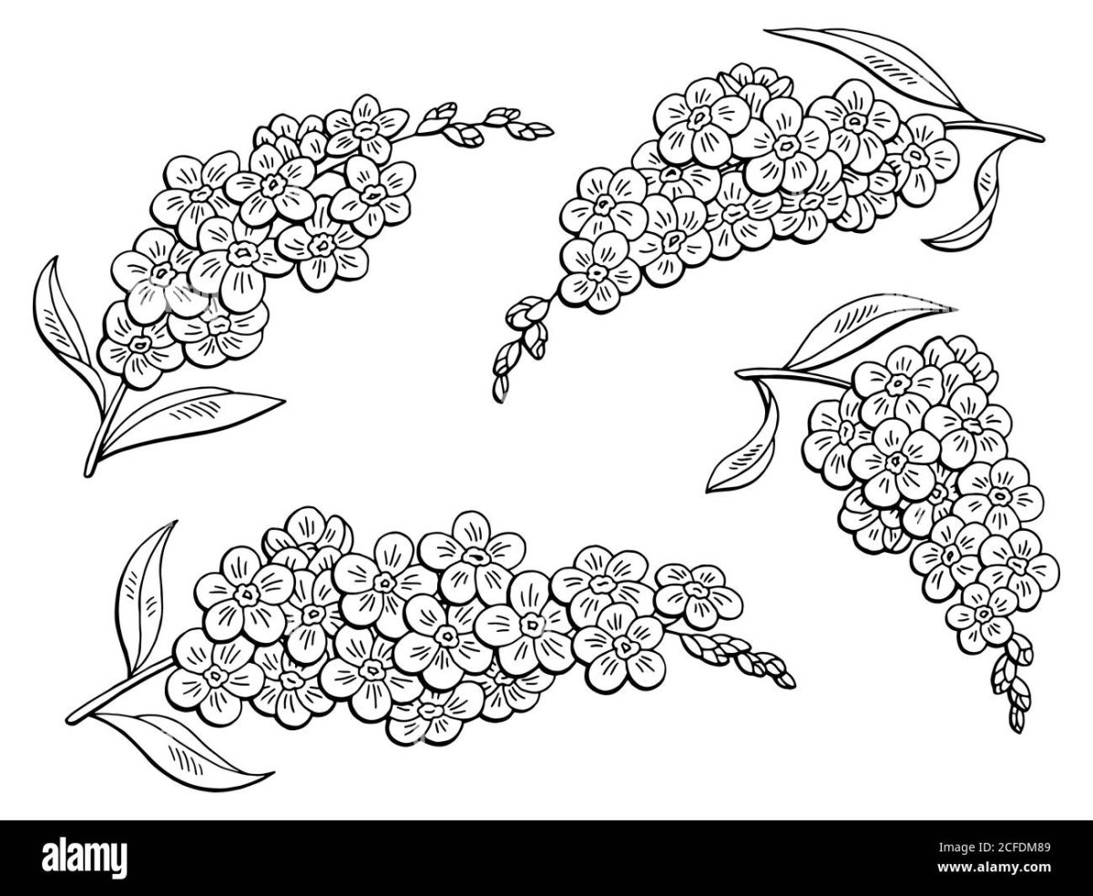 Незабудка силуэт