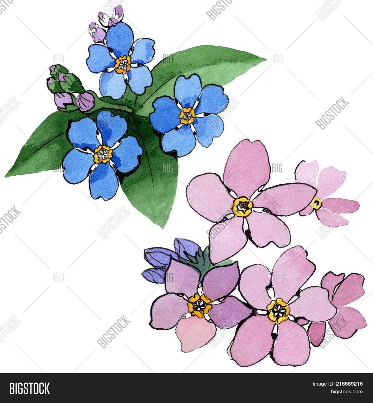 Тату растения эскизы