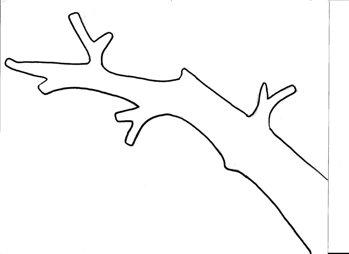 Трафарет "птицы на ветках"