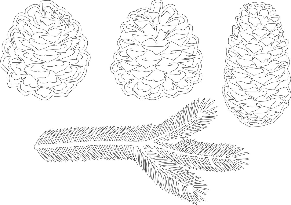 Силуэт птицы на ветке