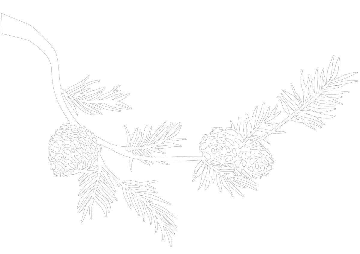 Вытынанка елочная ветка