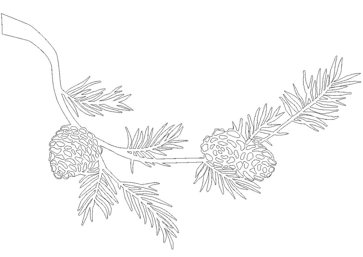 Вытынанки шишки с ветками