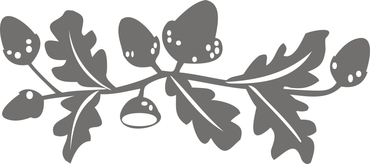 Трафарет птицы