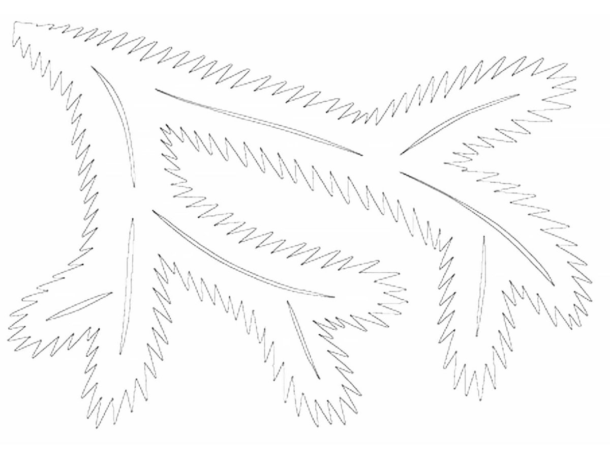 Еловая ветка трафарет