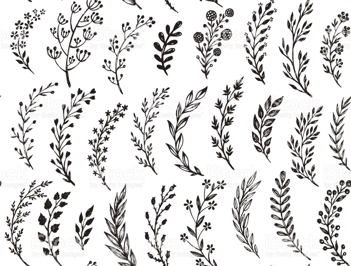 Силуэт птицы на ветке