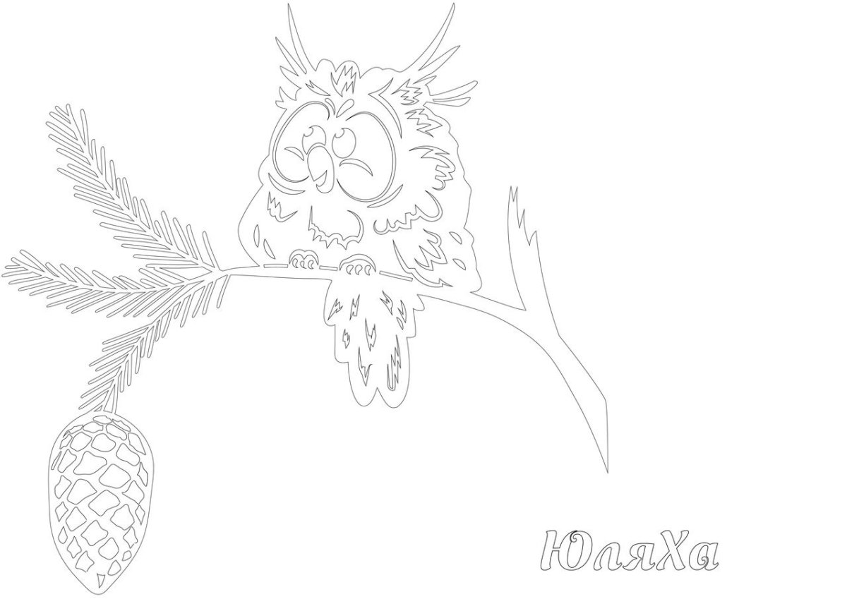 Шишка раскраска для детей