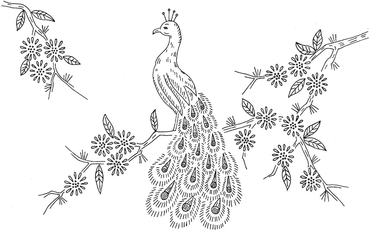 Трафарет для вышивки павлина