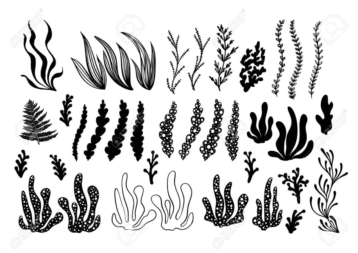 Водоросли силуэт