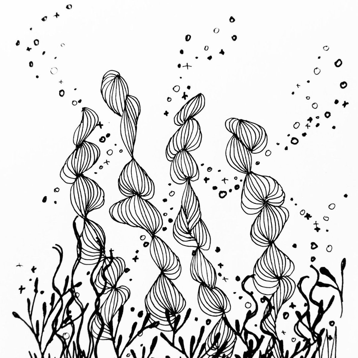 Водоросли черной ручкой