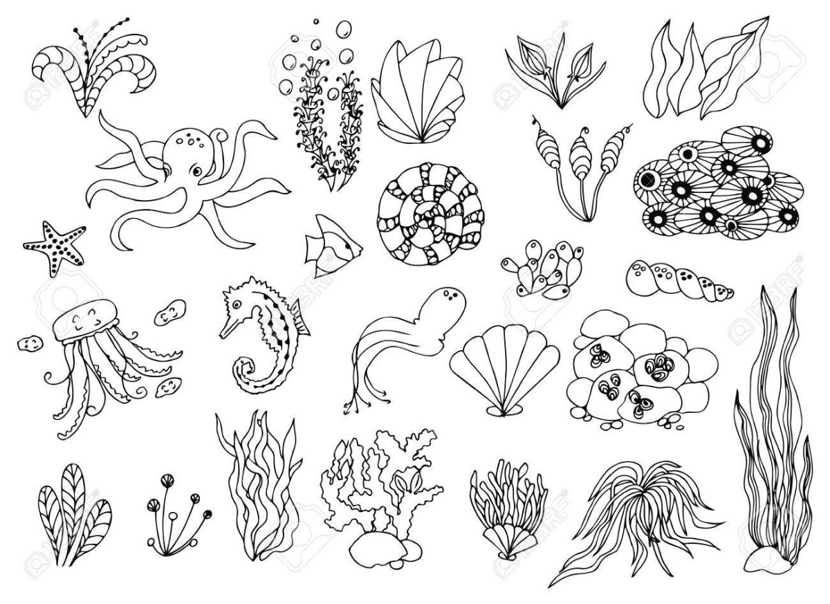 Водоросли шаблон для вырезания