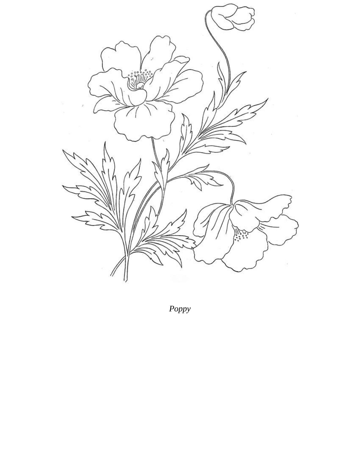 Рисунки на скатерть вышивка