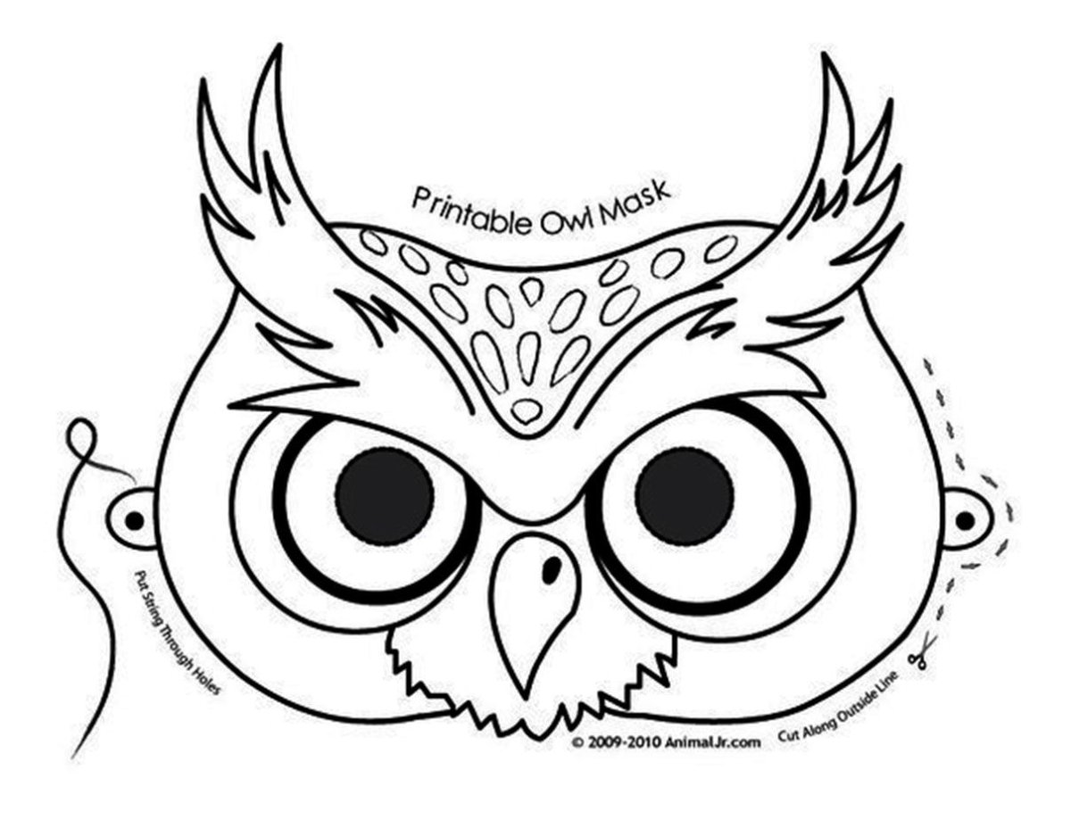 Трафареты Совы для декора