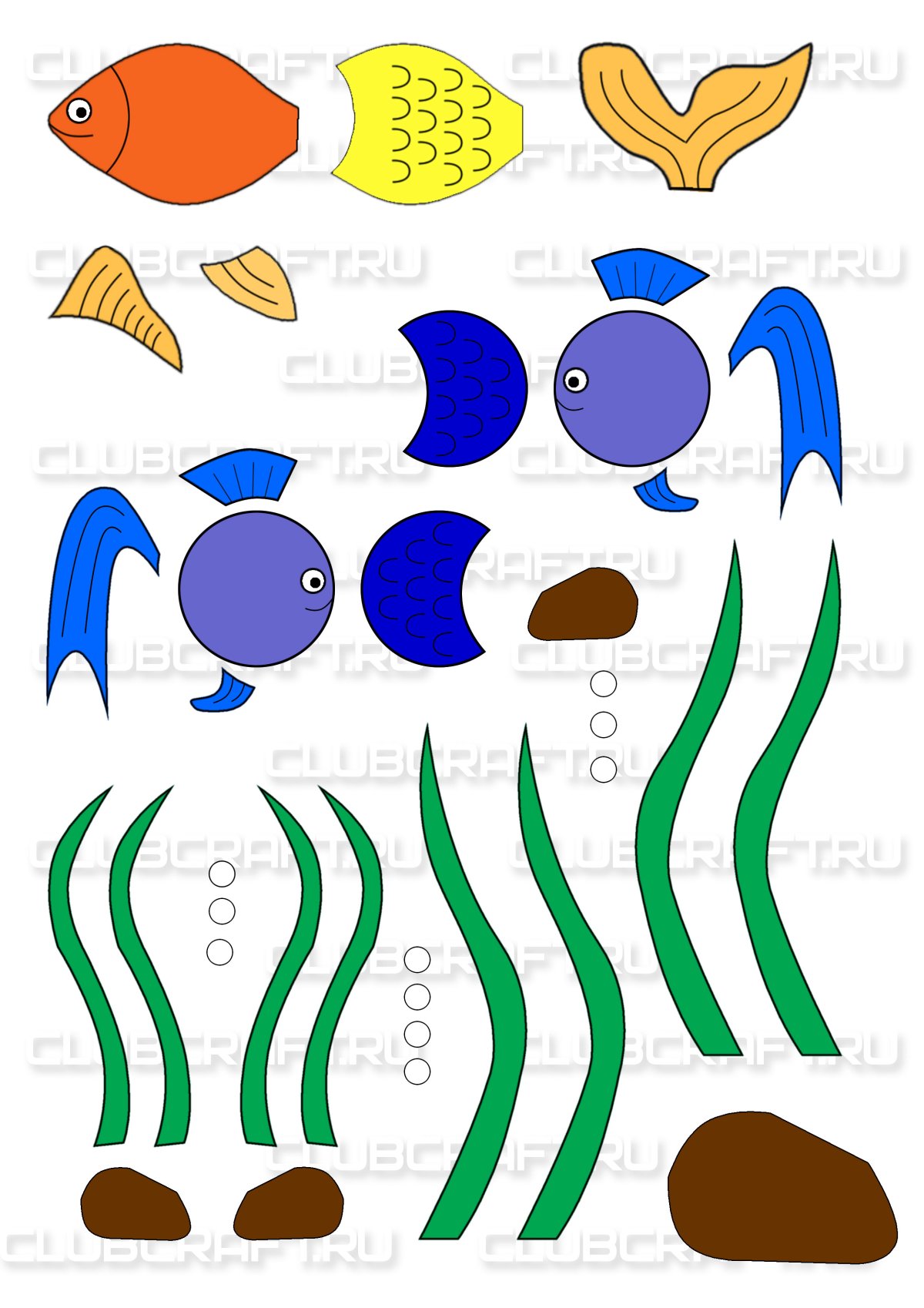 Водоросли для аппликации