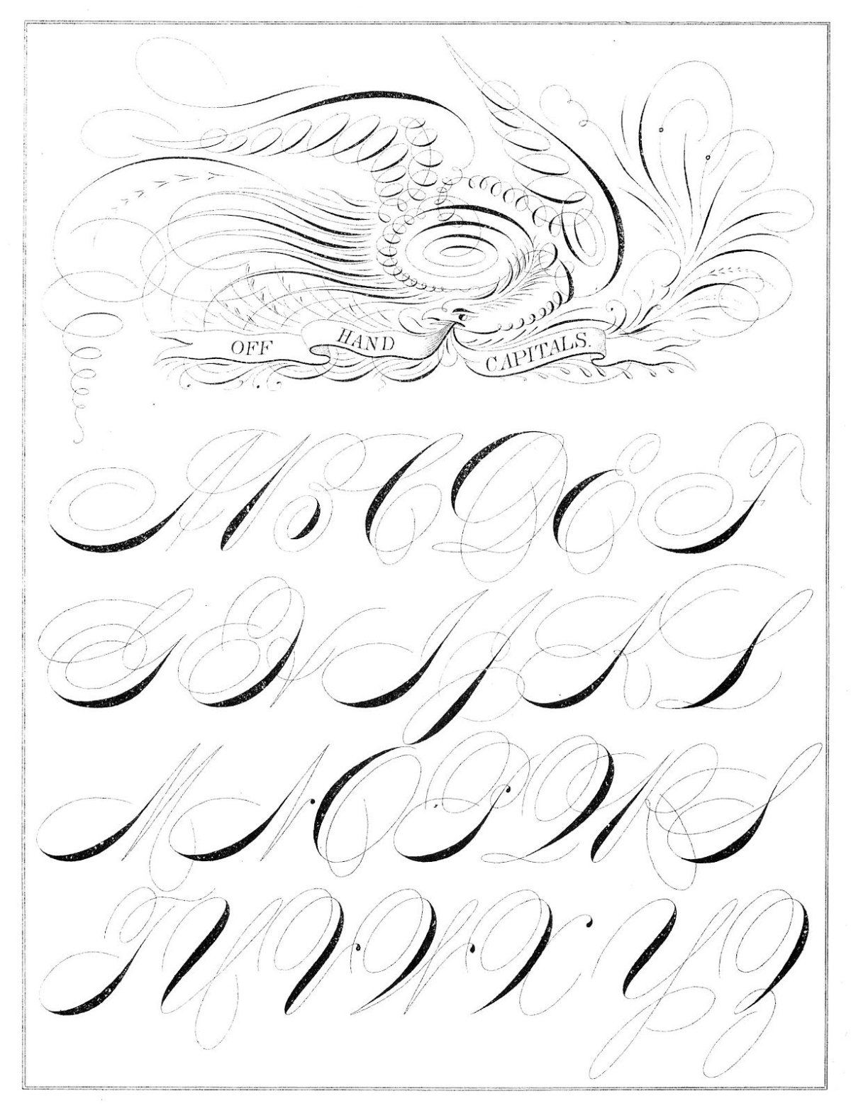 Каллиграфия прописи