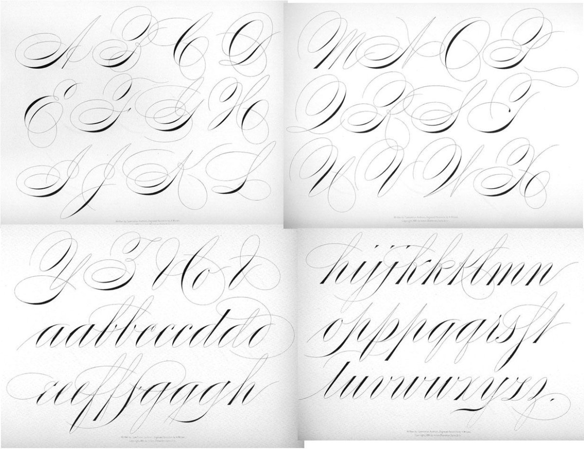 Спенсериан и копперплейт