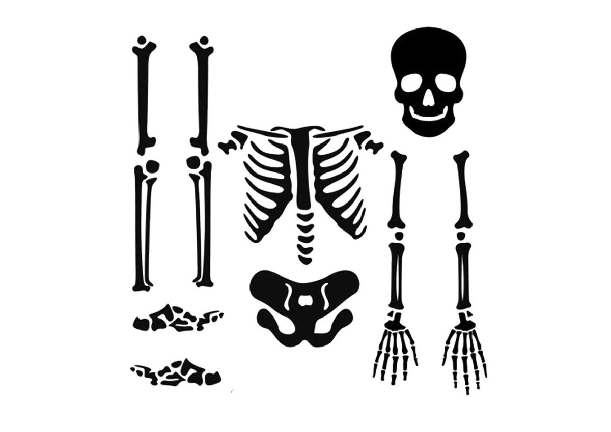 Скелет на прозрачном фоне