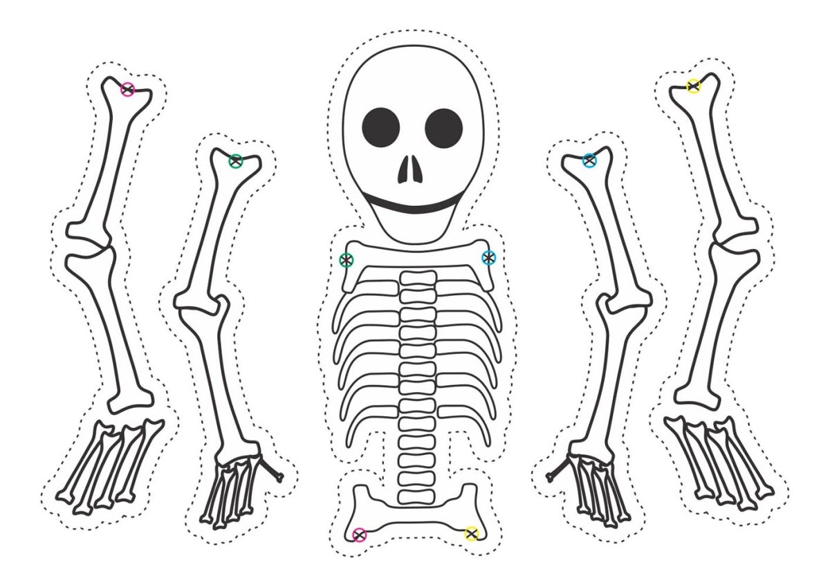 Кости скелета для Хэллоуина