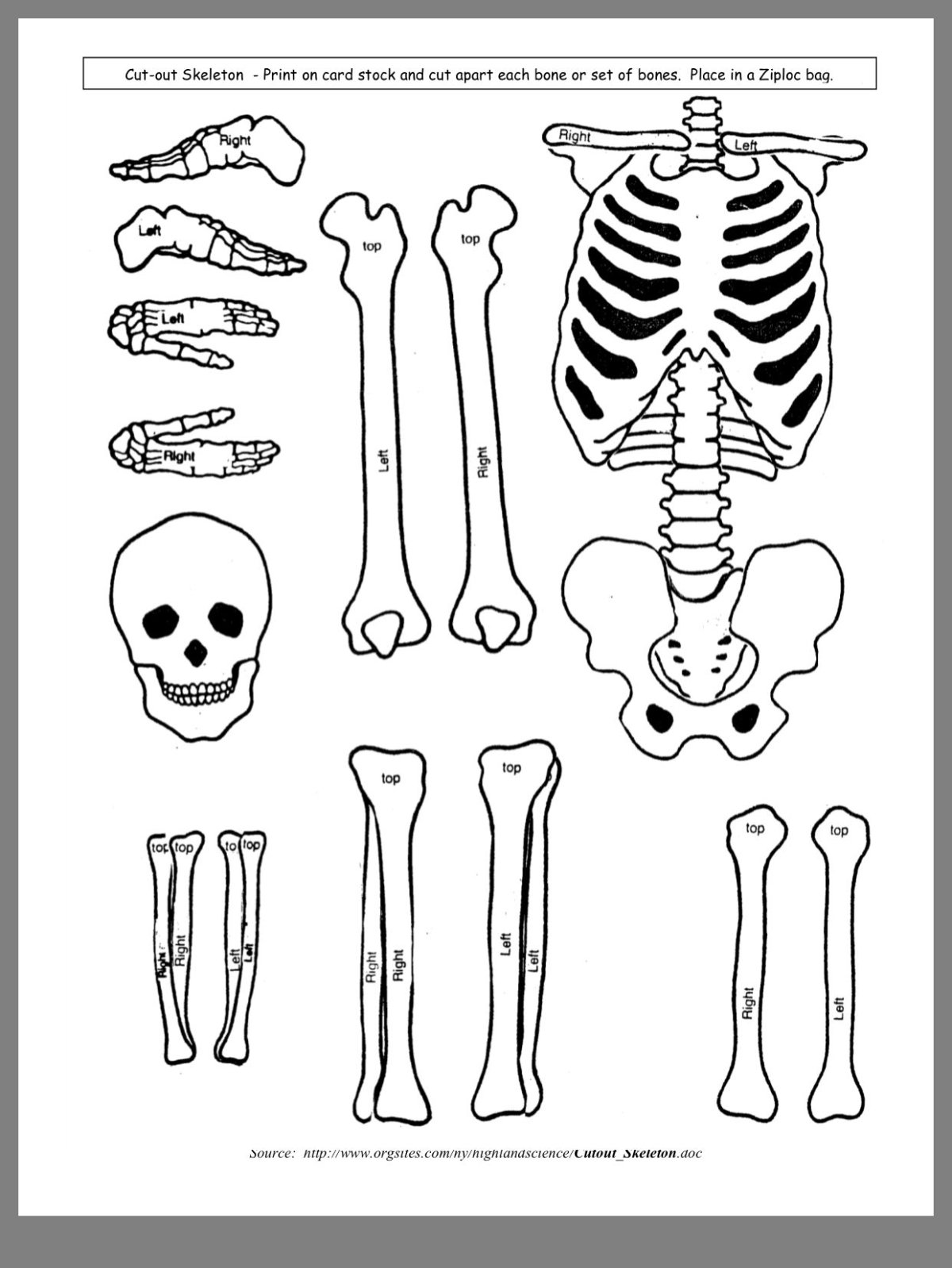 Стилизованный скелет