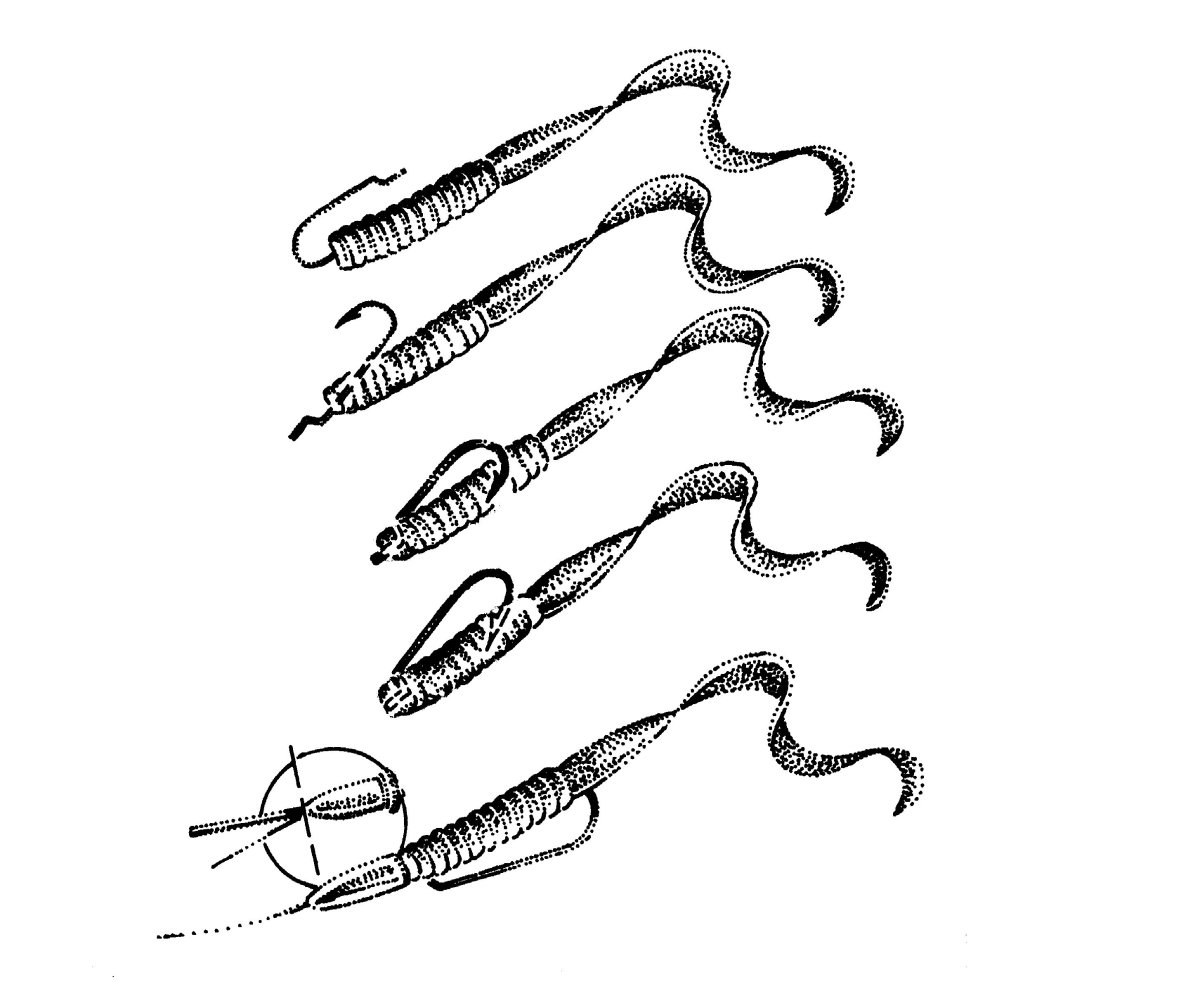 Чертежи для выпиливания лобзиком динозавры