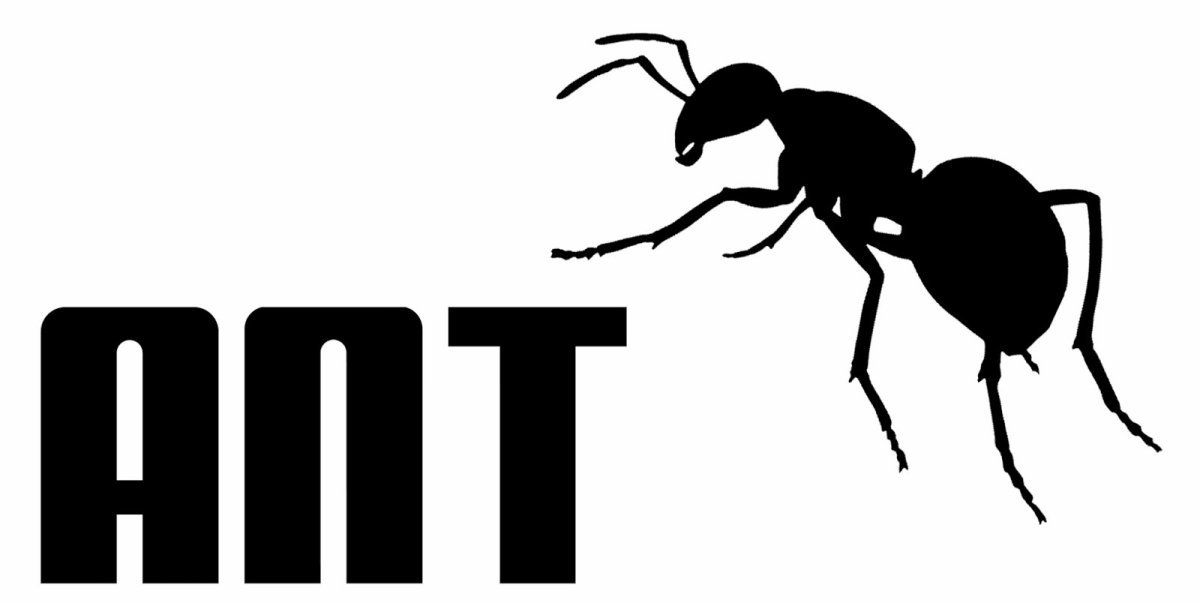 Муравей на английском