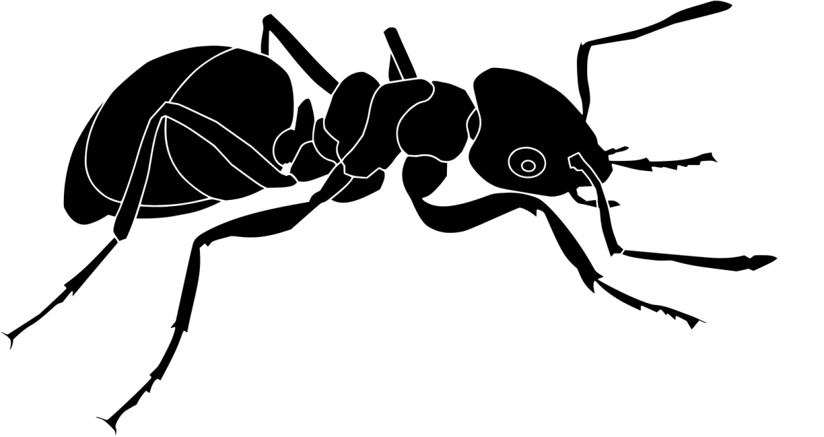 Насекомые иконка