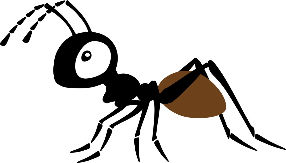 Муравей раскраска для детей