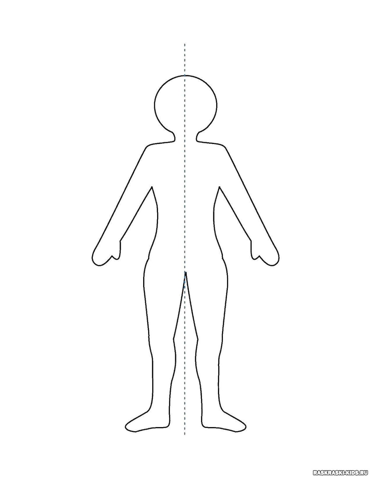 Силуэт женского тела