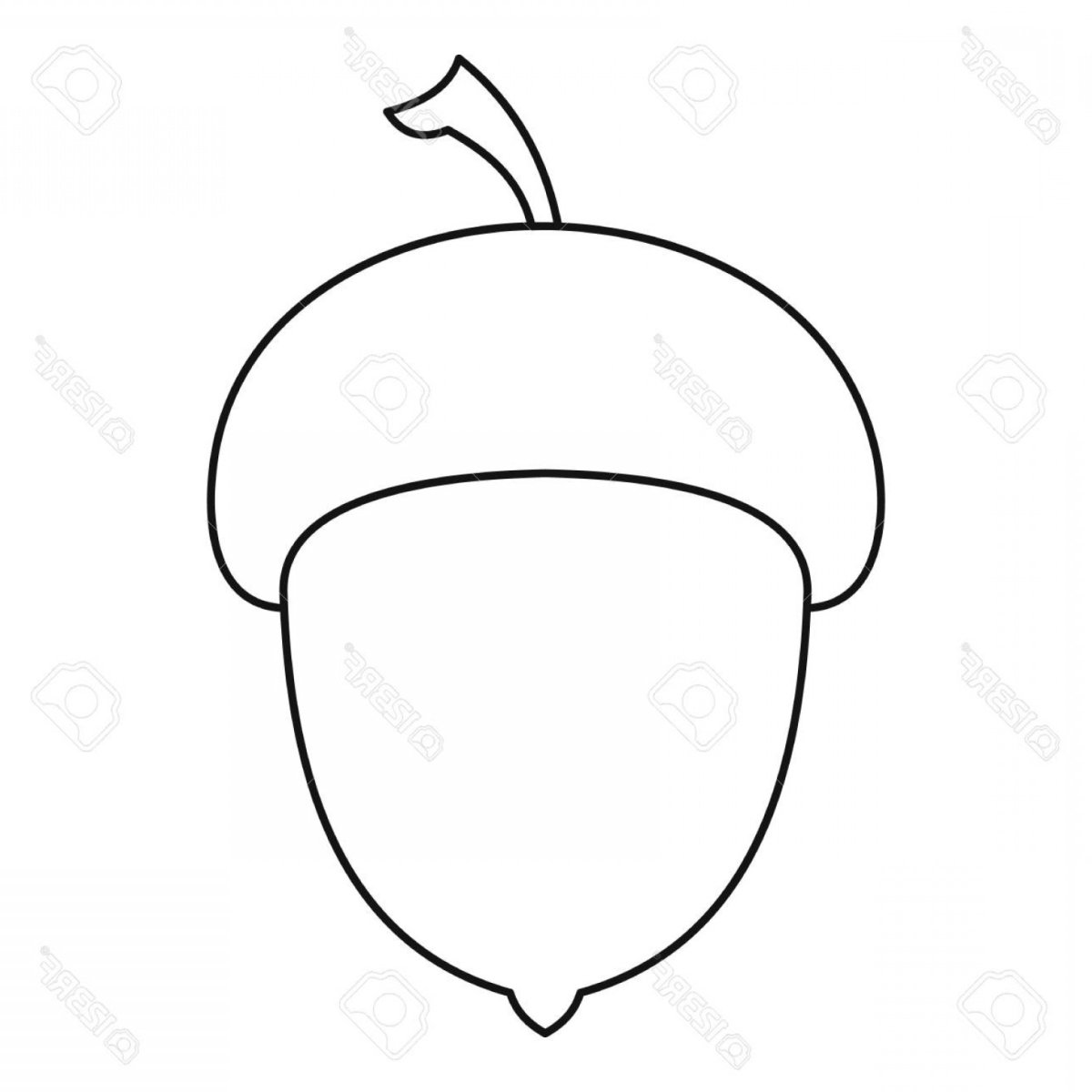 Дудлы грибы