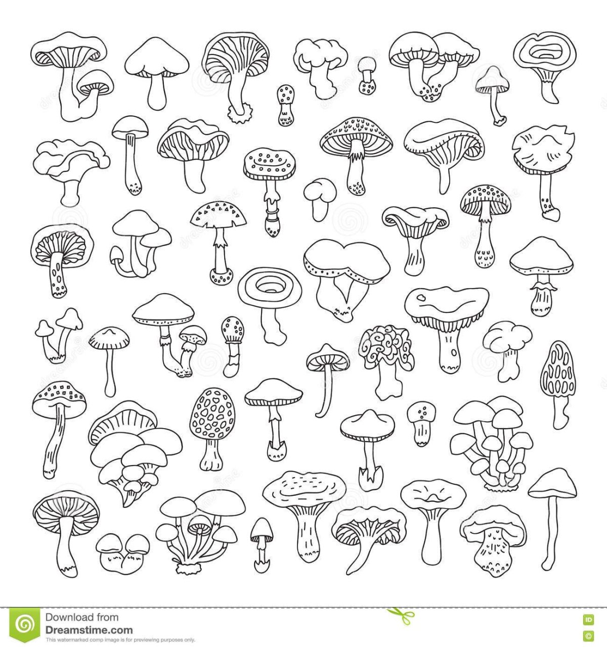 Гриб разукрашка белый гриб