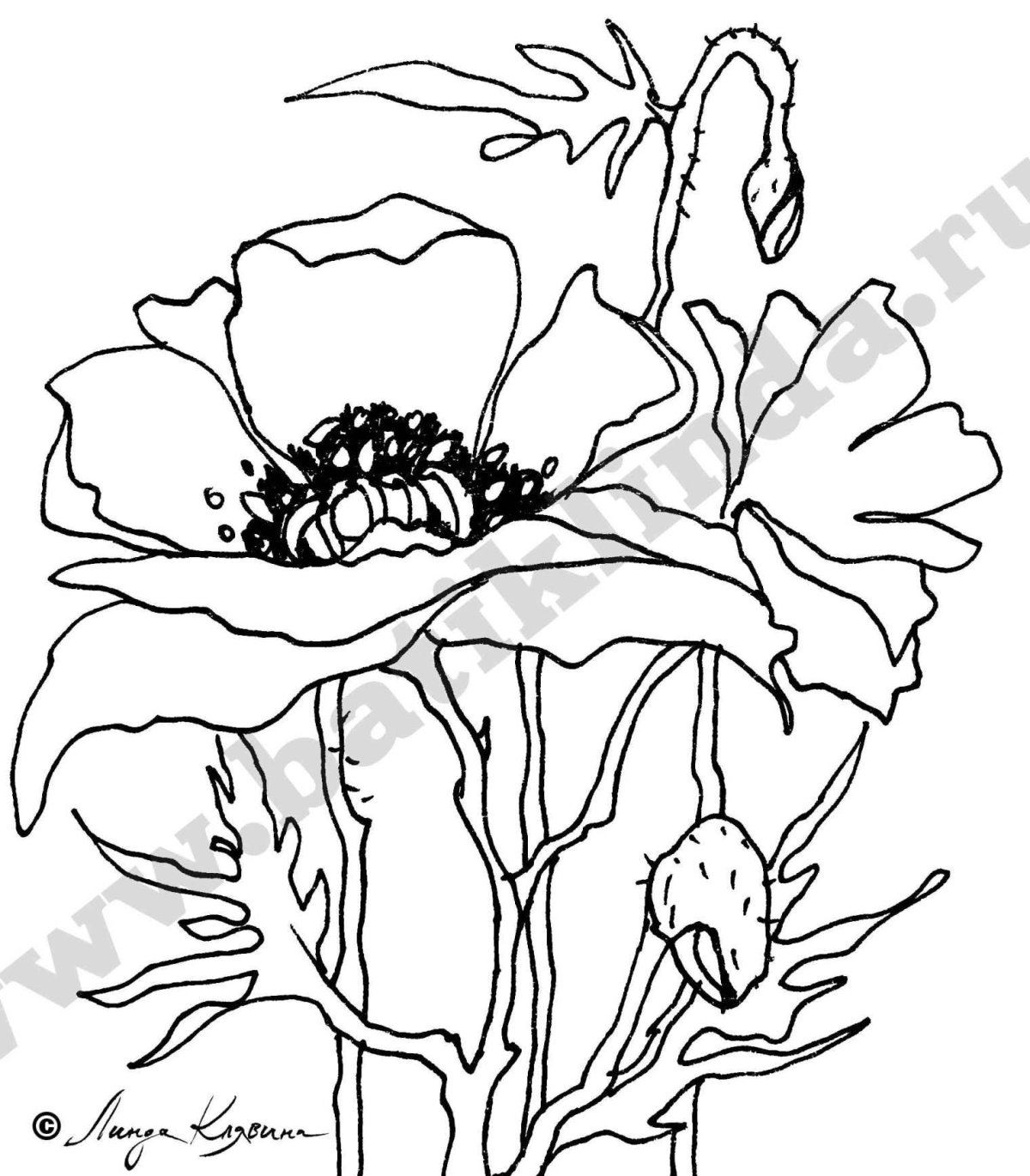 Эскизы для батика цветы