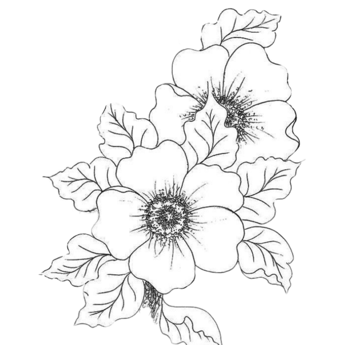 Эскиз цветочной композиции