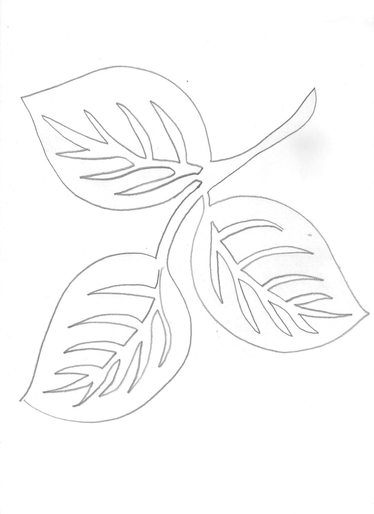 Листья эскиз
