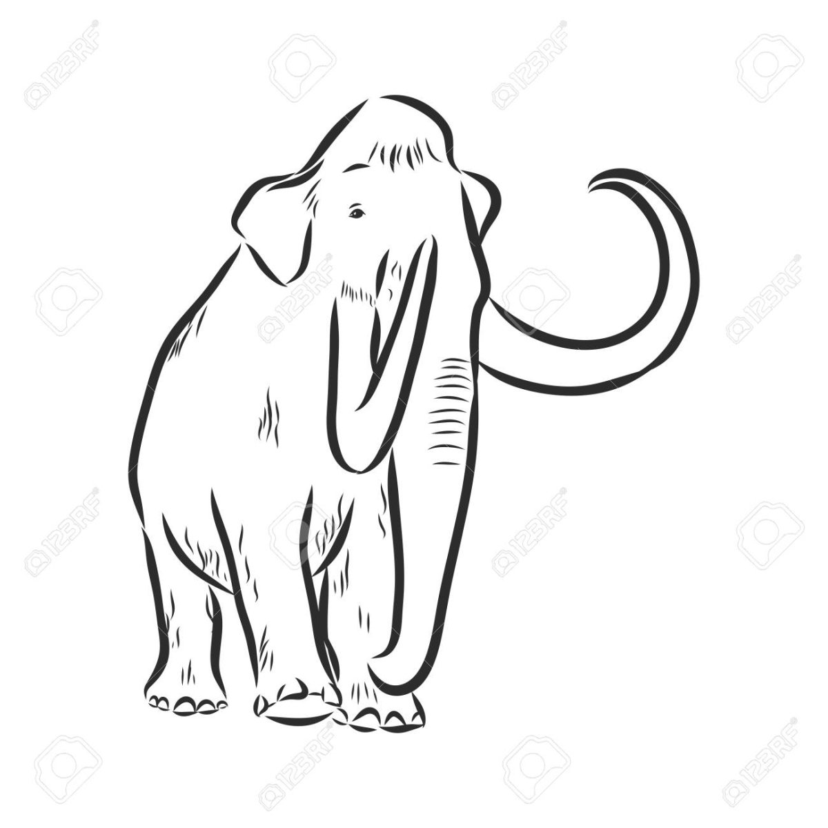 Черный мамонт