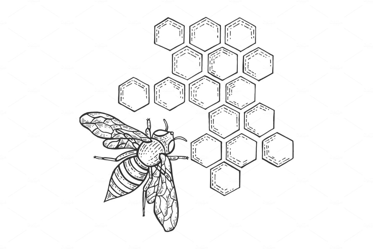 Соты пчелиные