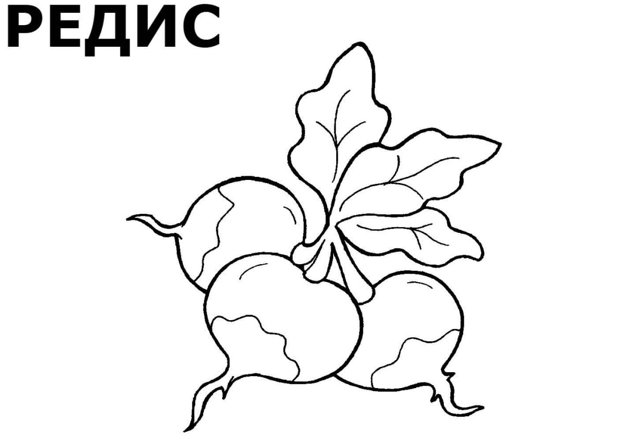 Рисунки овощей для детей для раскрашивания