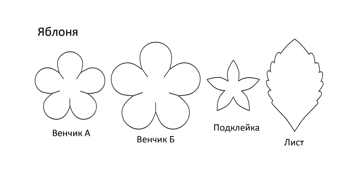 Цветок яблони шаблон