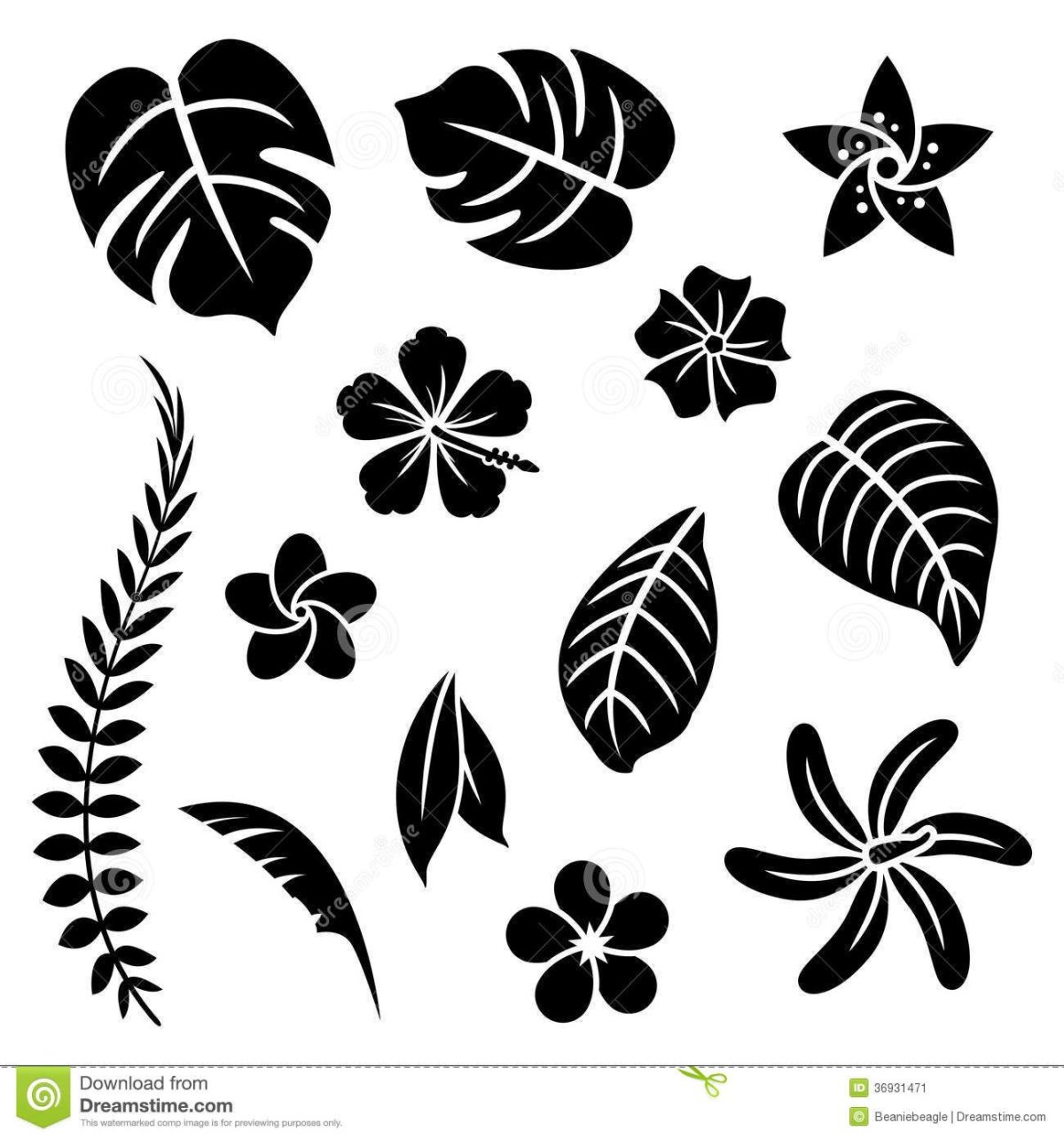 Листья тропических растений силуэт