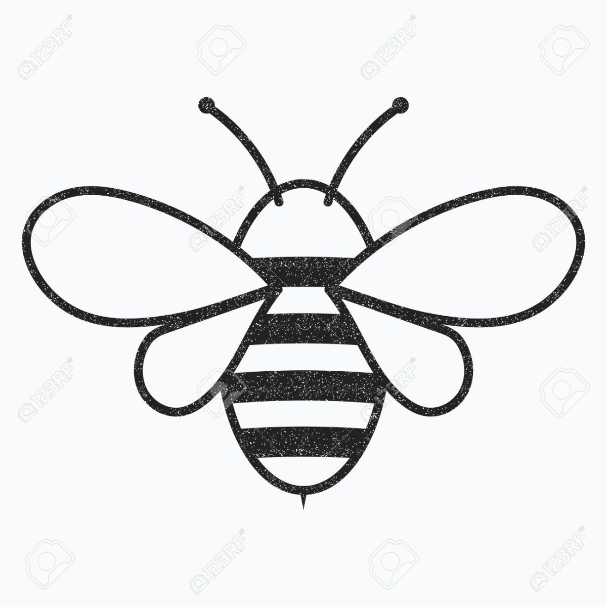 Пчела раскраска для детей на прозрачном фоне