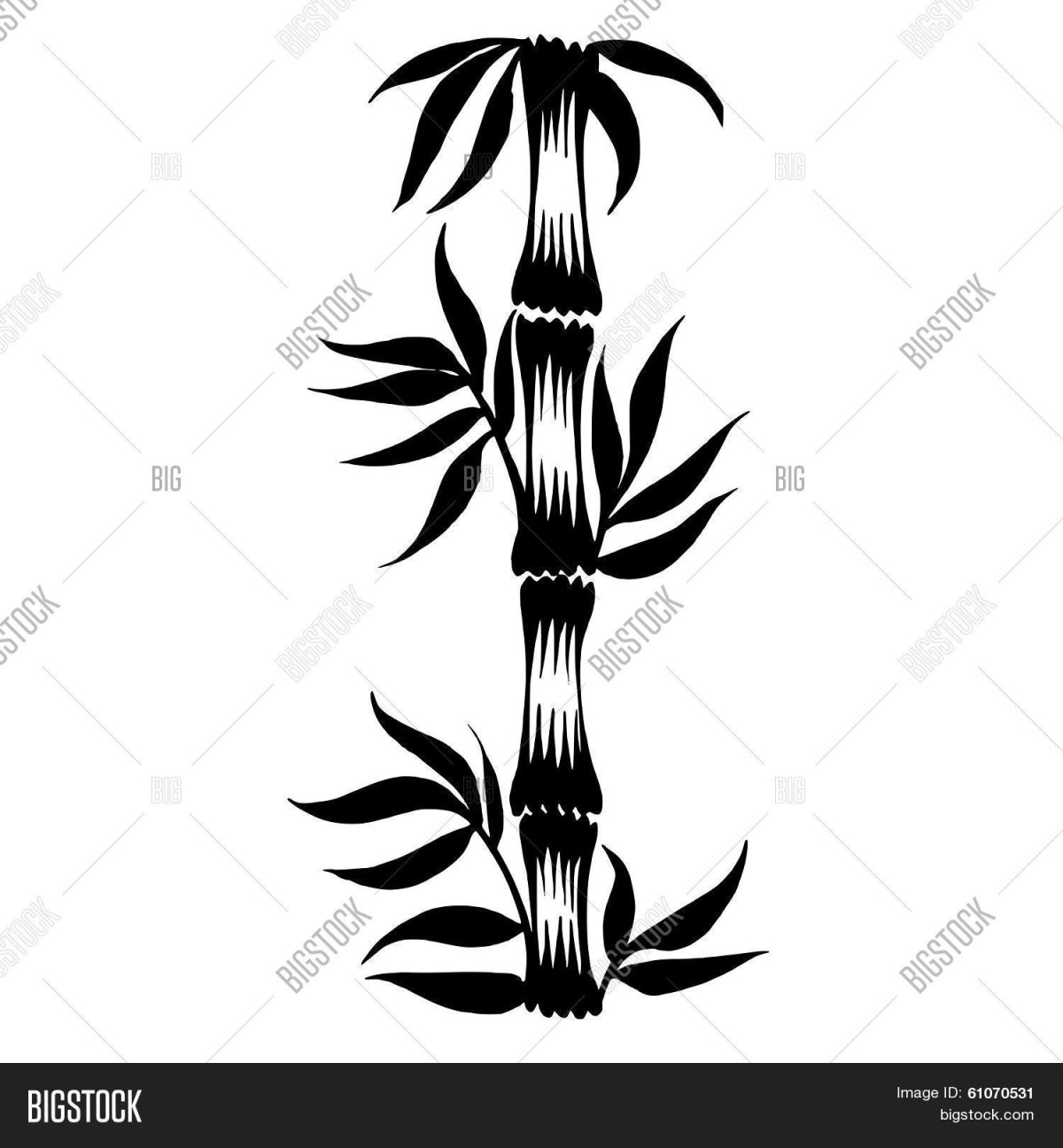 Бамбук для плоттера