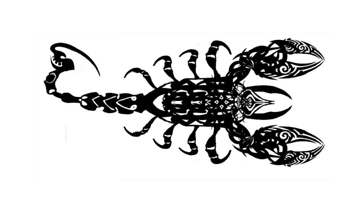 Скорпион трафарет