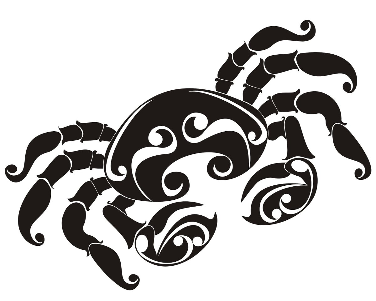 Ака на фоне черно белой