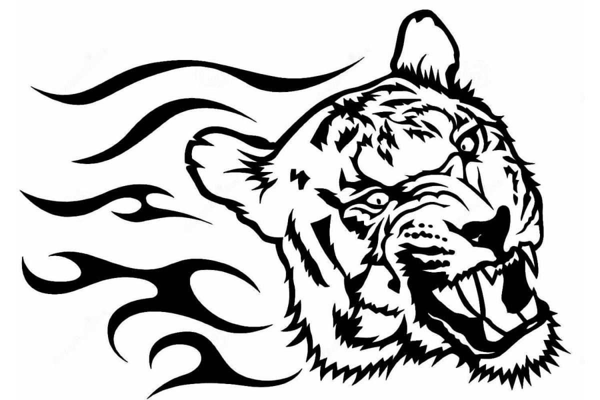 Питбуль Давидыча