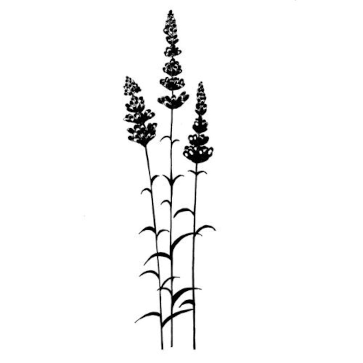 Прованс декупаж Lavande