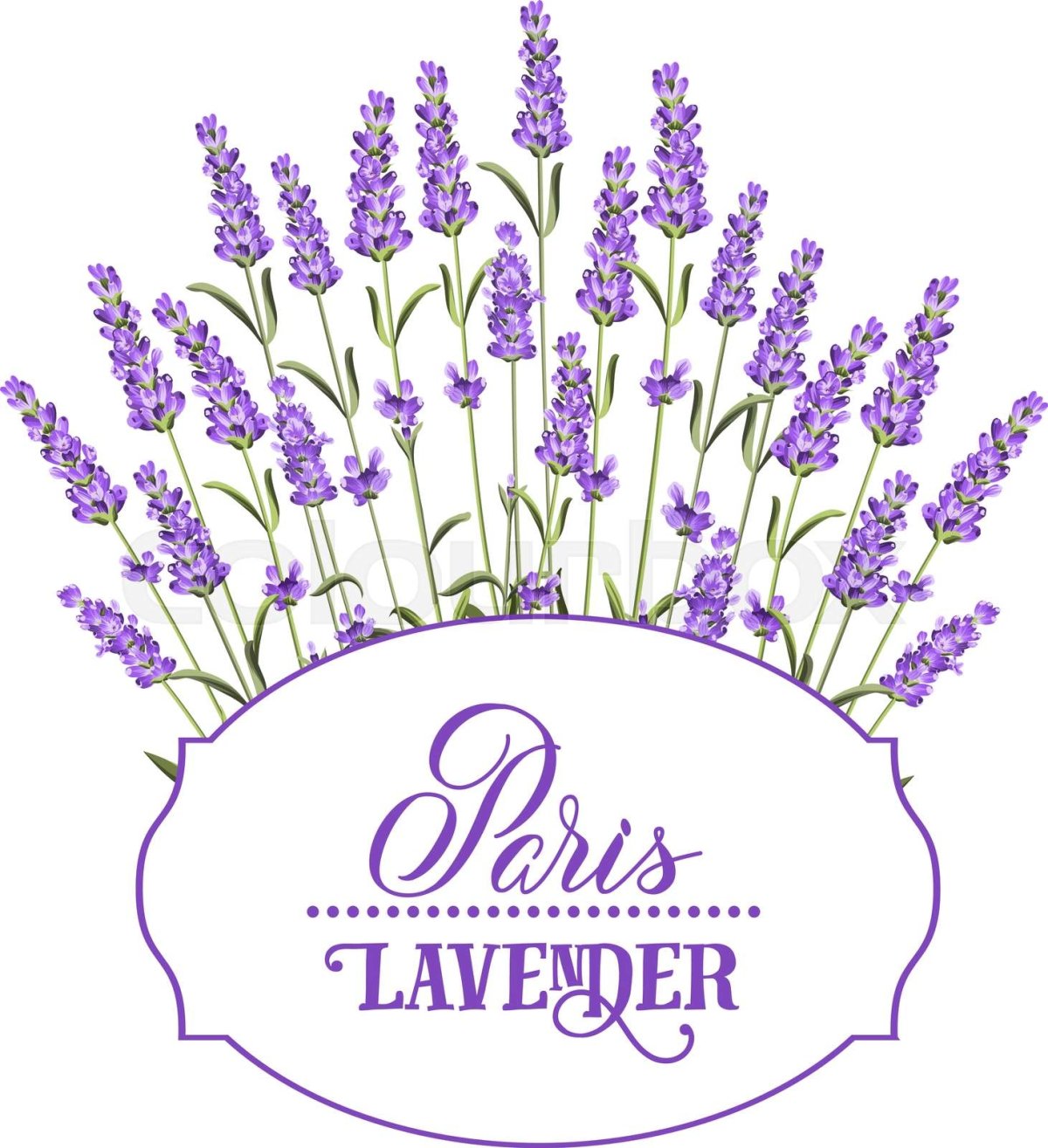 Лаванда силуэт