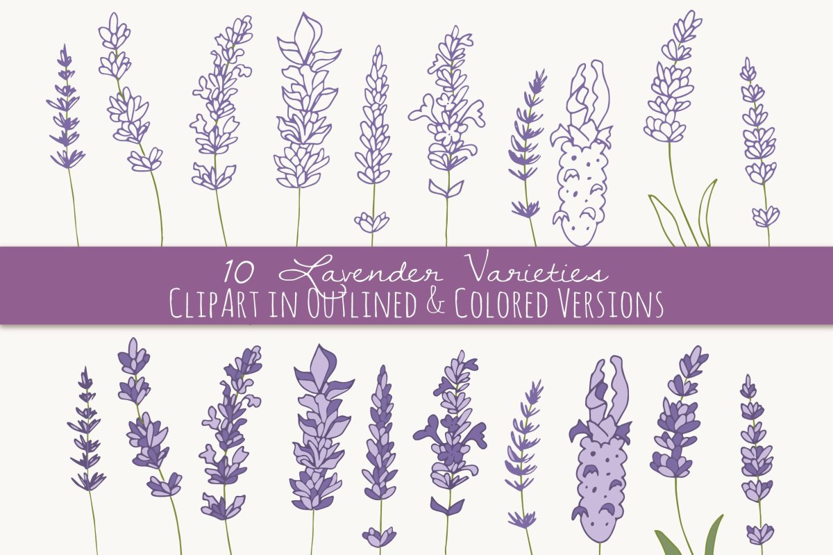 Веточка лаванды силуэт