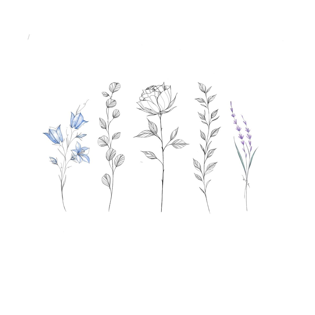 Завитушки акварель