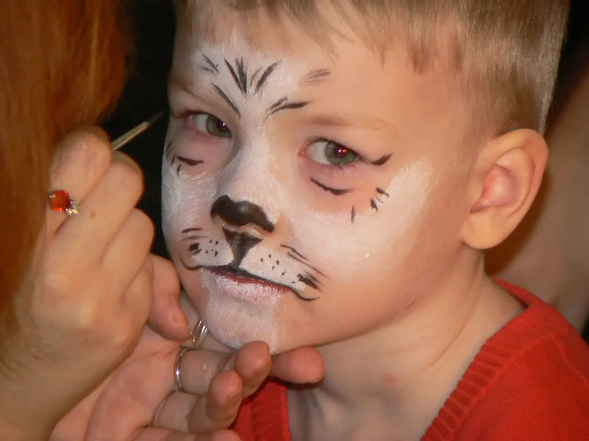 Макияж кота на лице для мальчика