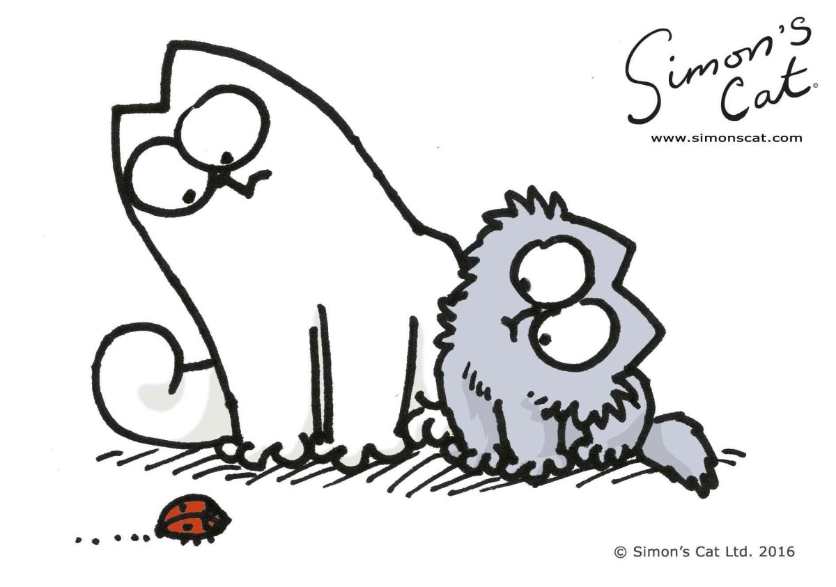 Картинки для срисовки кот Саймон